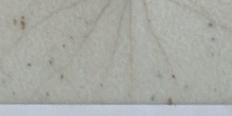Assinatura