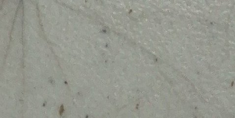 Assinatura