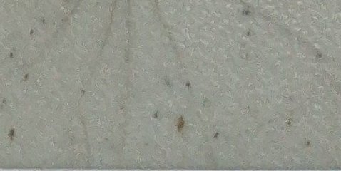 Assinatura