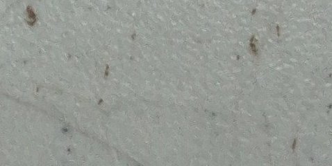 Assinatura