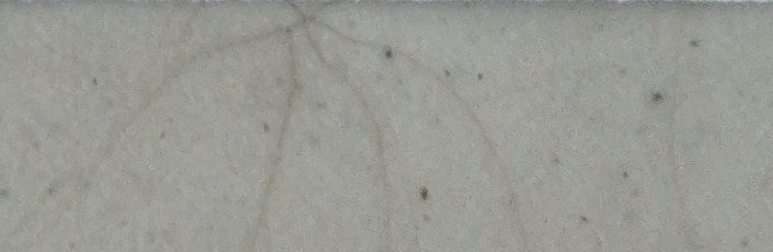 Assinatura