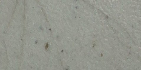 Assinatura