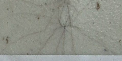 Assinatura