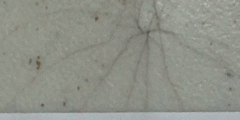 Assinatura