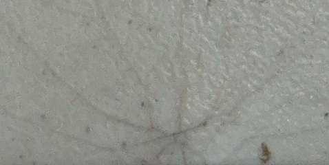 Assinatura