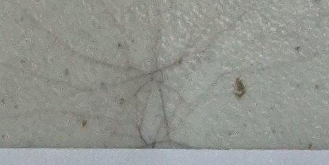 Assinatura