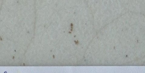 Assinatura