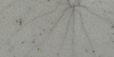Assinatura