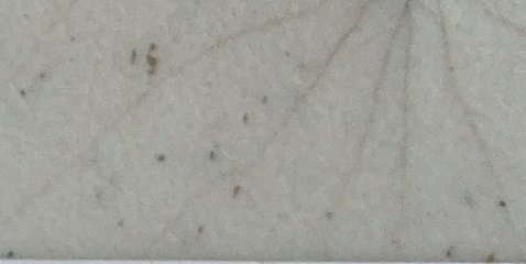 Assinatura