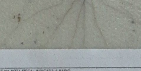Assinatura