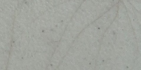 Assinatura