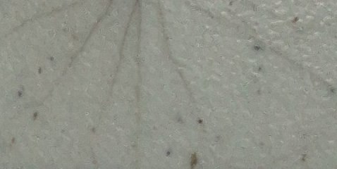 Assinatura