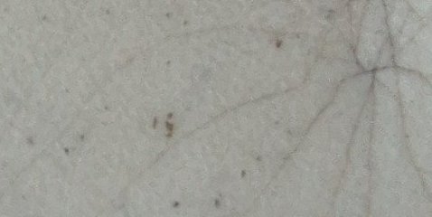Assinatura