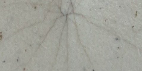 Assinatura