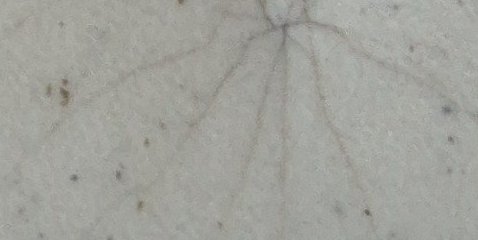 Assinatura