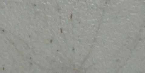 Assinatura