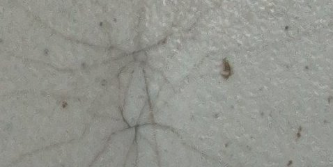 Assinatura