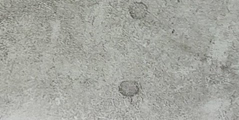 Assinatura