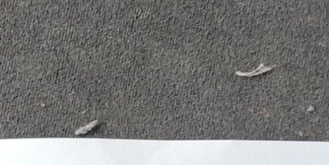 Assinatura