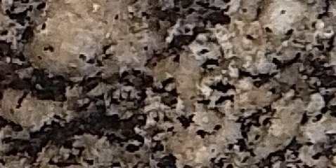 Assinatura