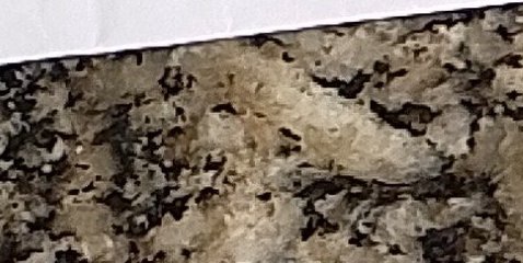 Assinatura