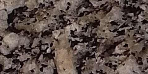 Assinatura