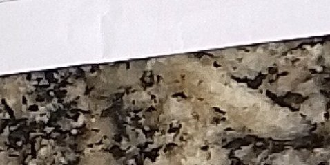 Assinatura