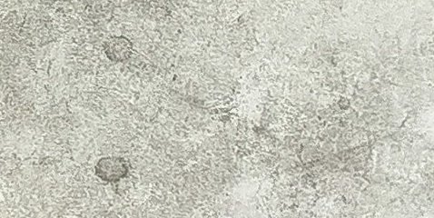Assinatura