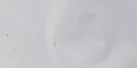 Assinatura