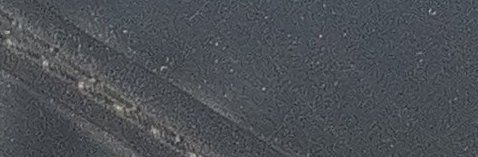 Assinatura