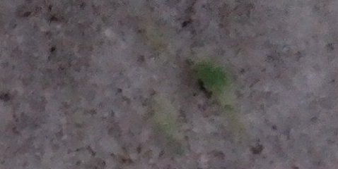 Assinatura
