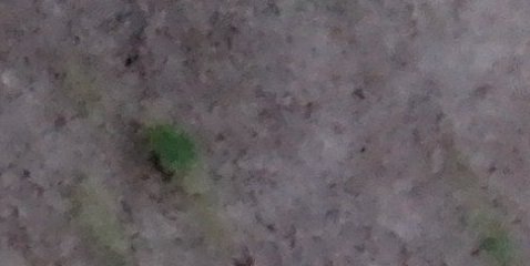 Assinatura