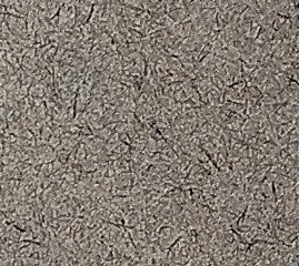 Assinatura