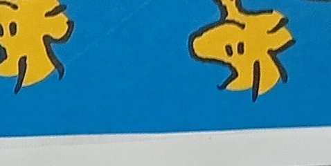 Assinatura