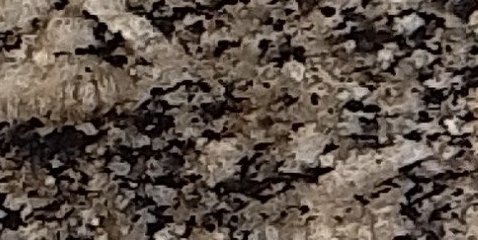 Assinatura