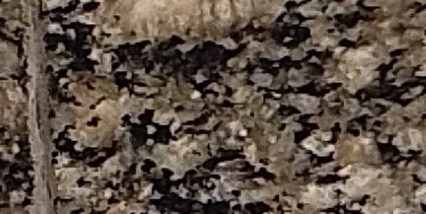 Assinatura