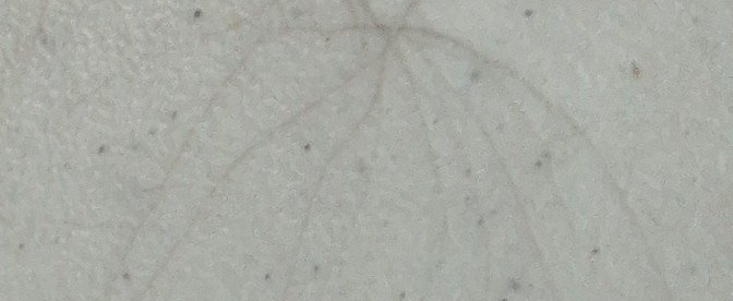 Carimbo