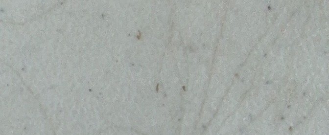 Carimbo