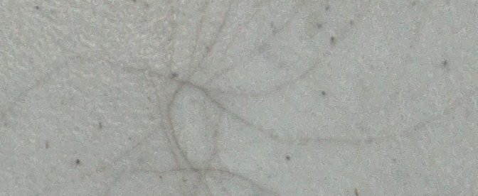 Carimbo