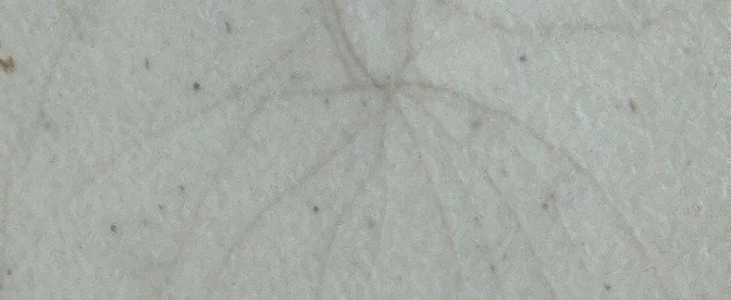 Carimbo