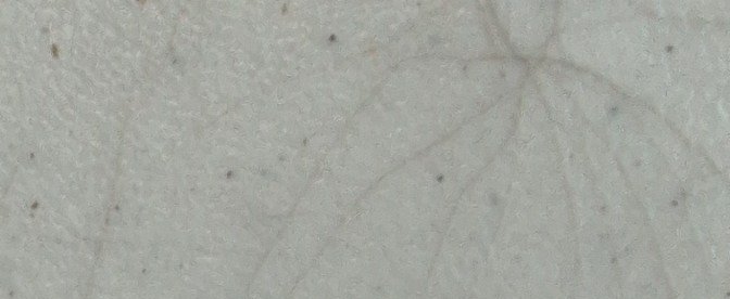 Carimbo