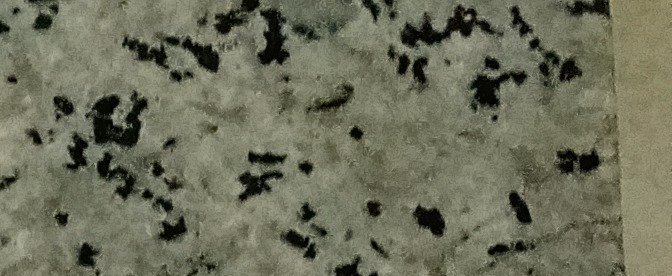 Carimbo